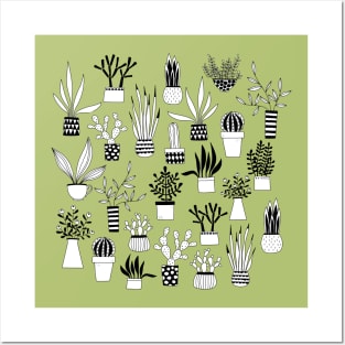 Cactus, Cacti and Succulent Drawings Posters and Art